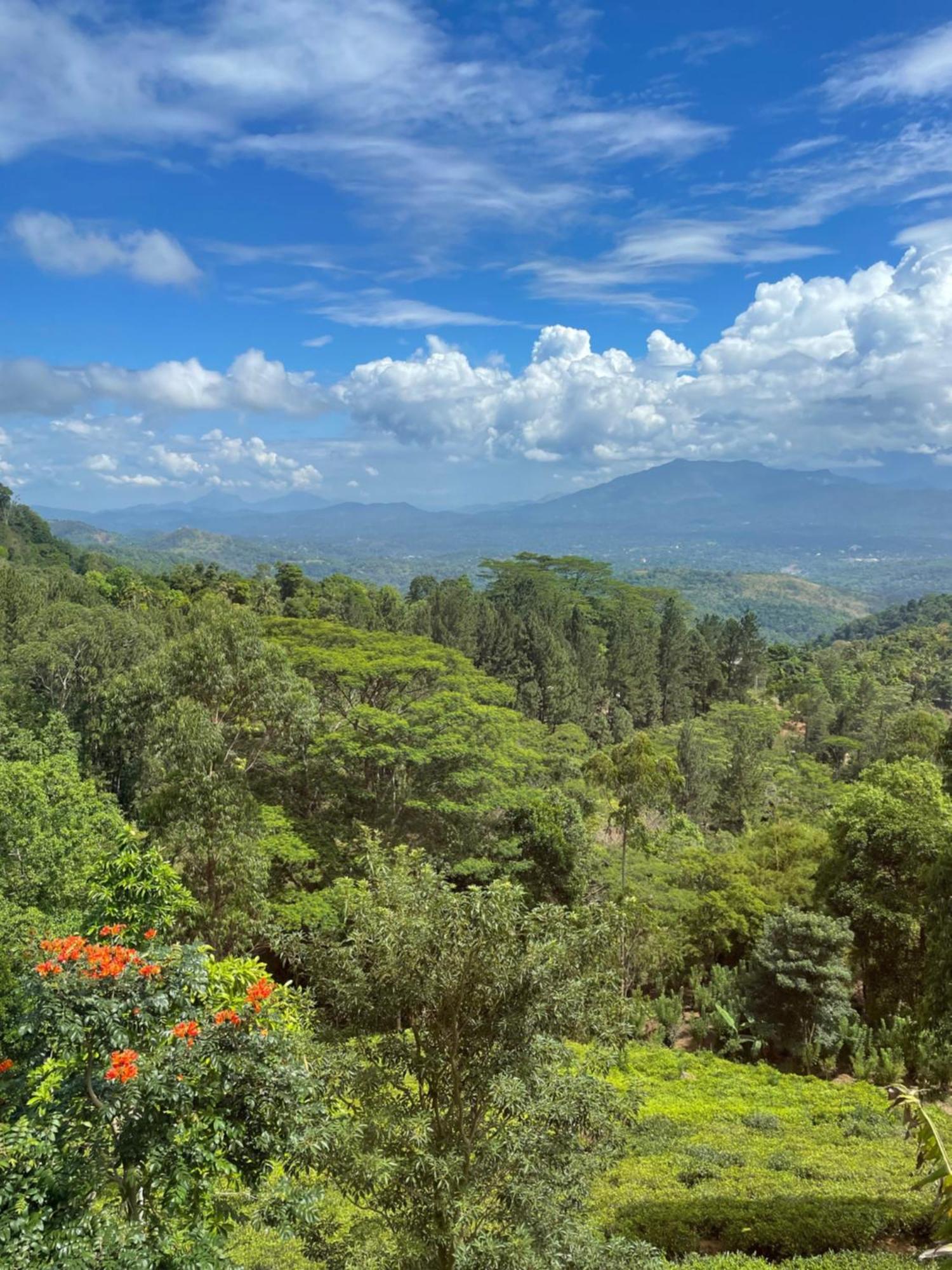 Bellwood Hills Resort & Spa Kandy Exterior photo