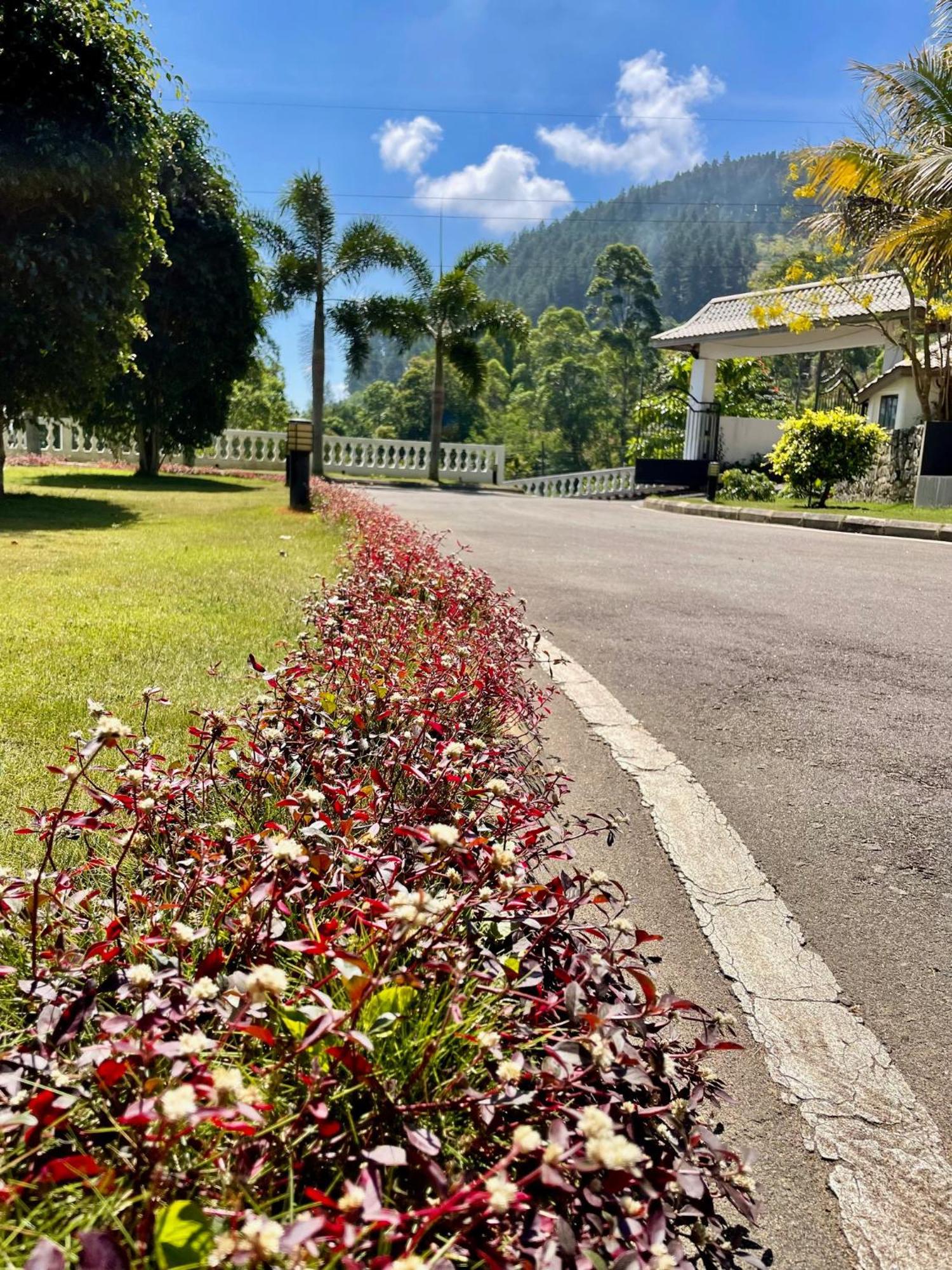 Bellwood Hills Resort & Spa Kandy Exterior photo